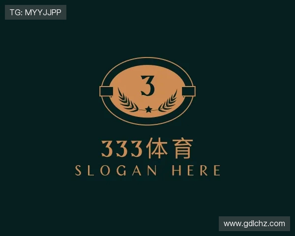 关于333体育